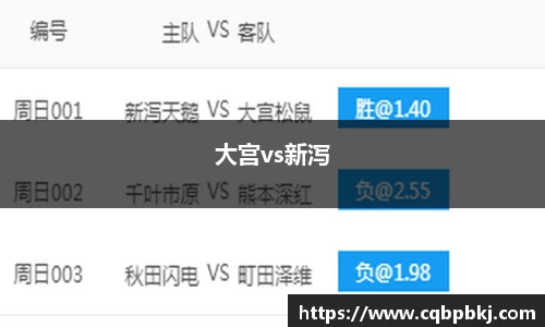 大宫vs新泻